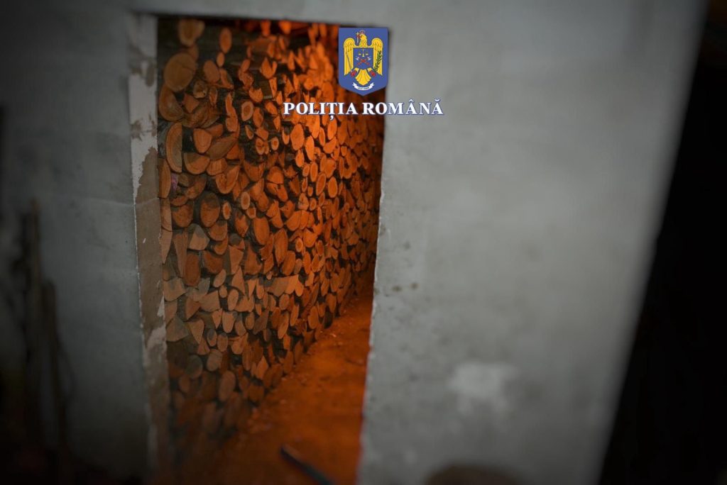 Polițiștii din Mureș au reținut doi bărbați pentru tăiere ilegală de arbori