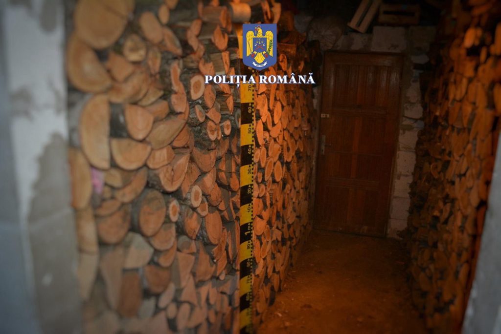 Polițiștii din Mureș au reținut doi bărbați pentru tăiere ilegală de arbori