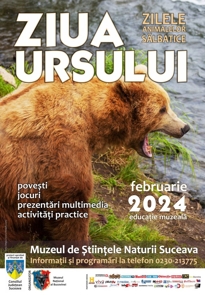 Lecții muzeale despre urși