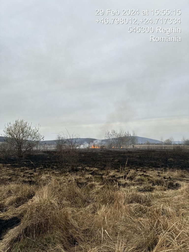 Incendiu de vegetație uscată la Dâmbău și intervenția promptă Incendiu de vegetație uscată la Dâmbău și intervenția promptă