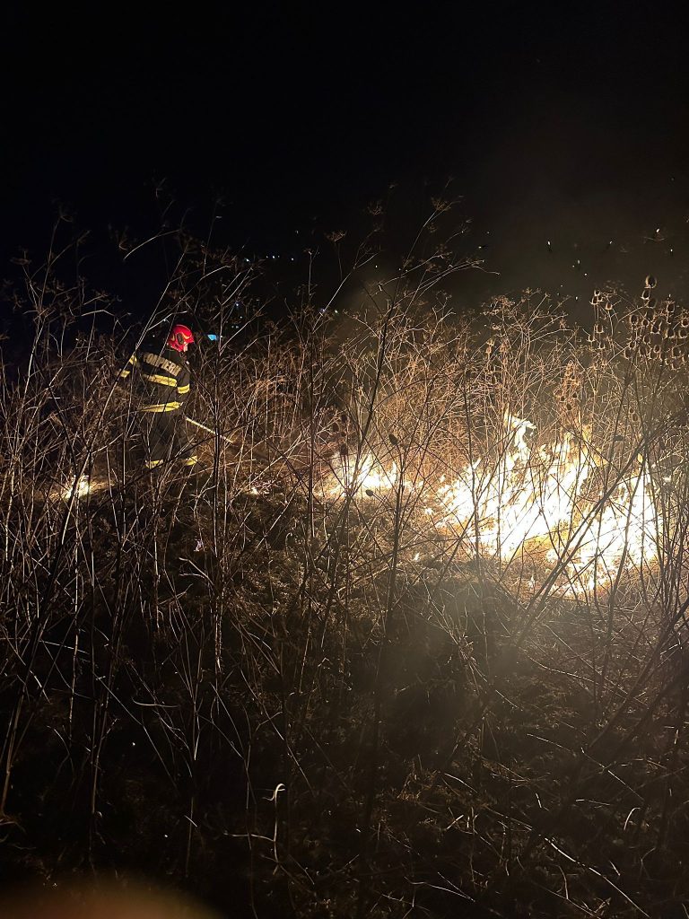 Incendii de vegetație uscată în Târgu Mureș și în localitatea Seleuș lichidate