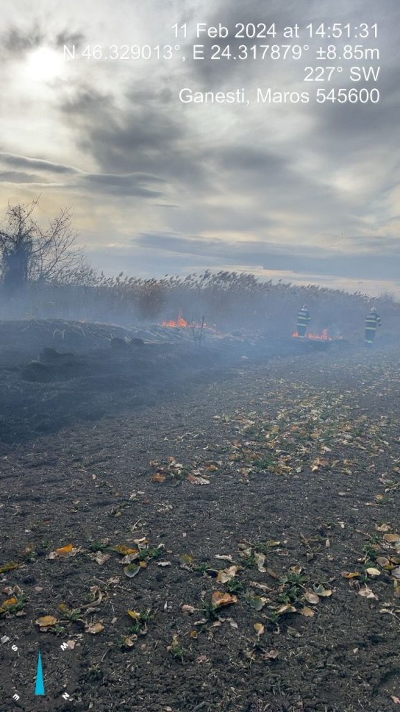 Incendii de vegetație uscată în județul Mureș