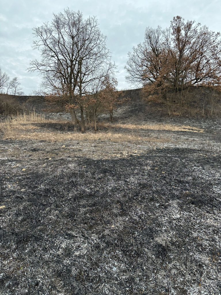 Pompierii mureșeni au intervenit pentru lichidarea unor incendii de vegetație