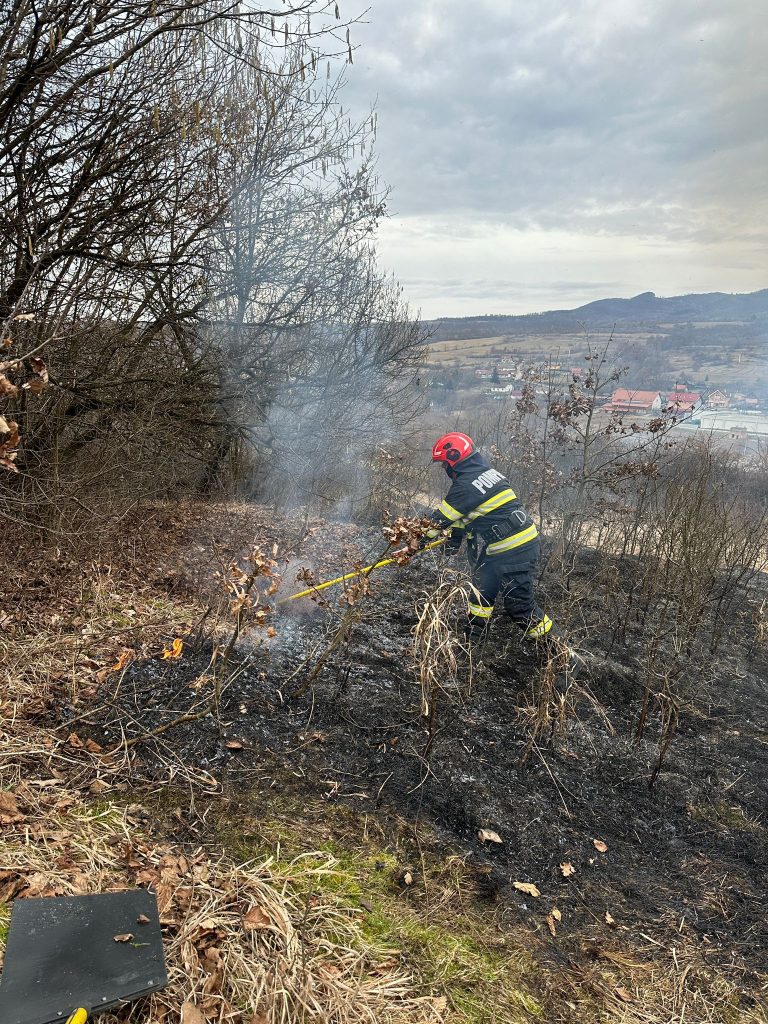 Pompierii mureșeni au intervenit pentru lichidarea 