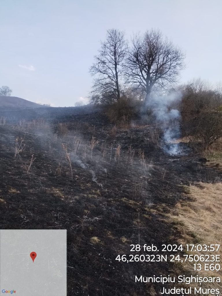 Intervenții ale pompierilor mureșeni în data de 28 februarie 2024