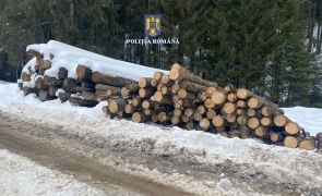 Depozit de materiale lemnoase din comuna Straja