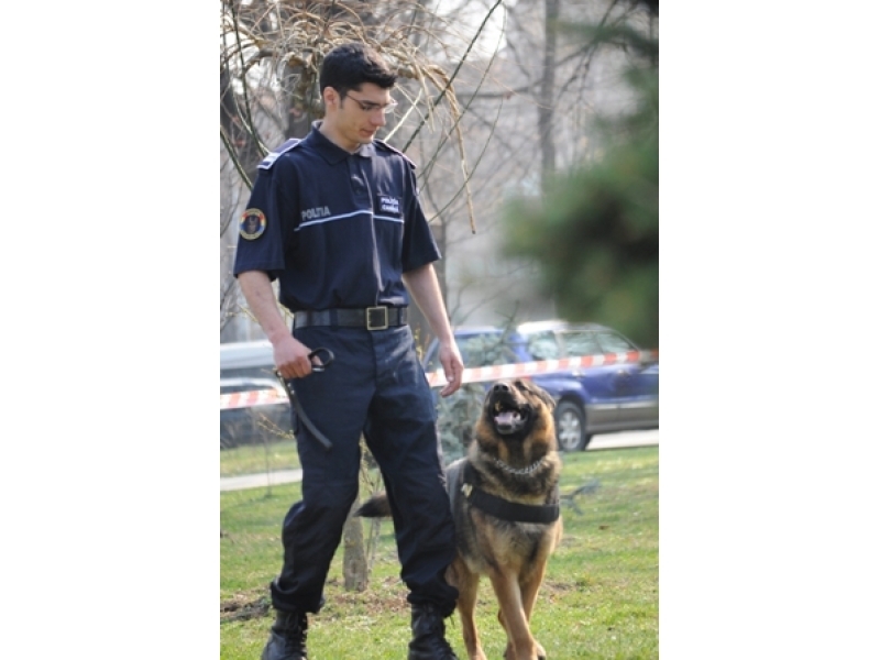 60 de posturi de agent de poliție (și conductor câini)