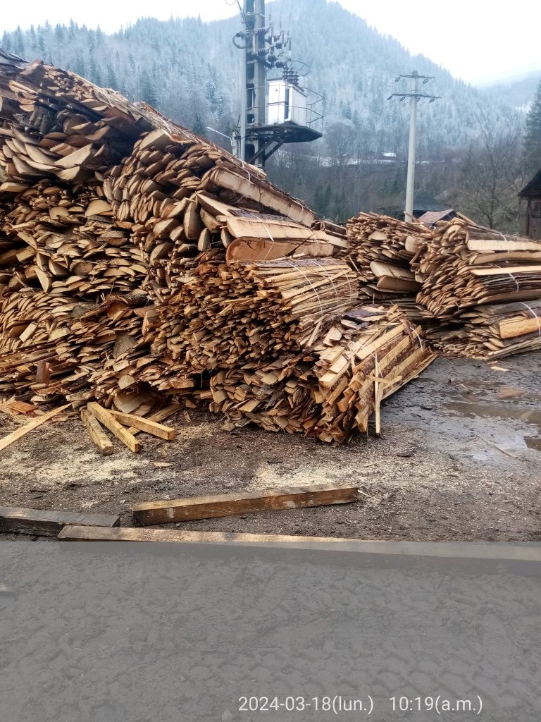 Agent economic din Broșteni 