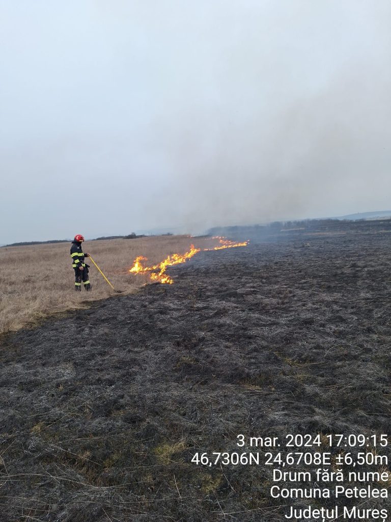 Incendii de vegetație uscată în județul Mureș, în această după-amiază