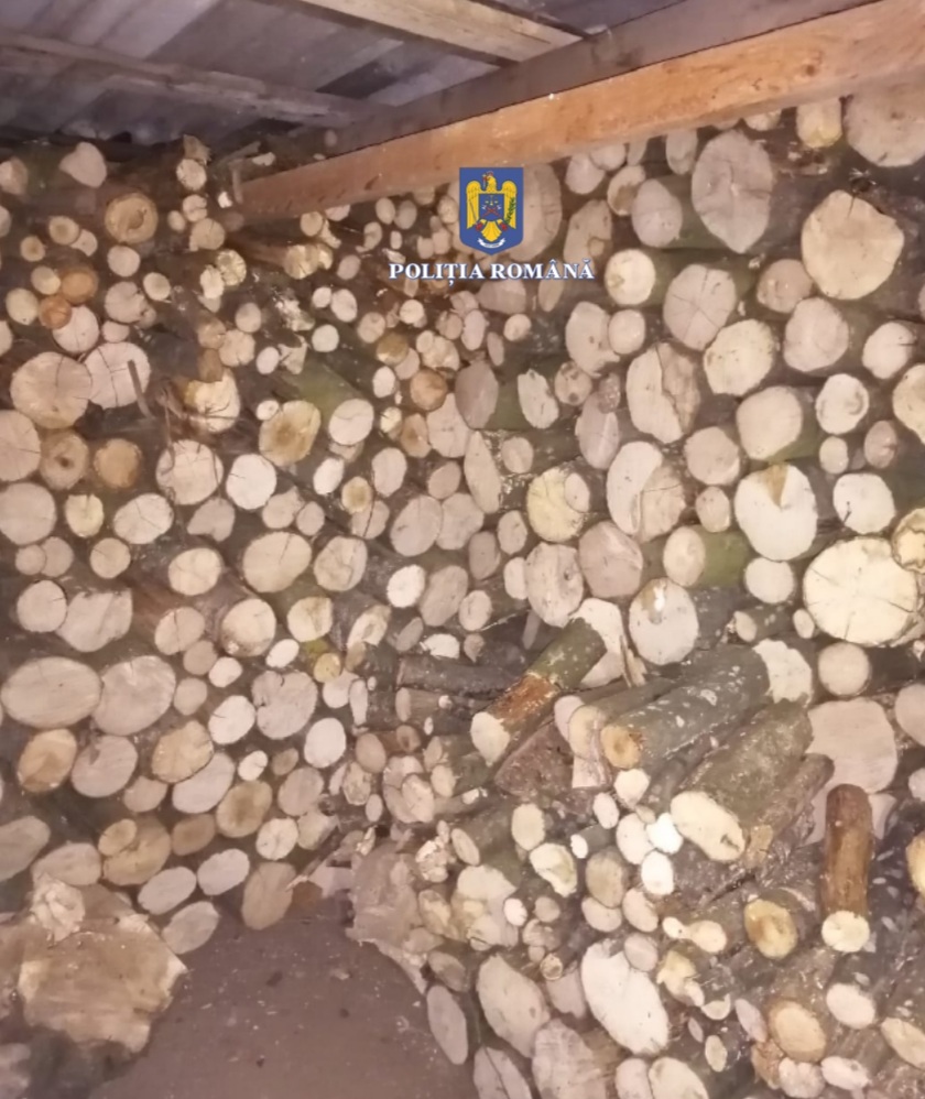 21 de percheziții domiciliare în județul Mureș care vizează tăierea 