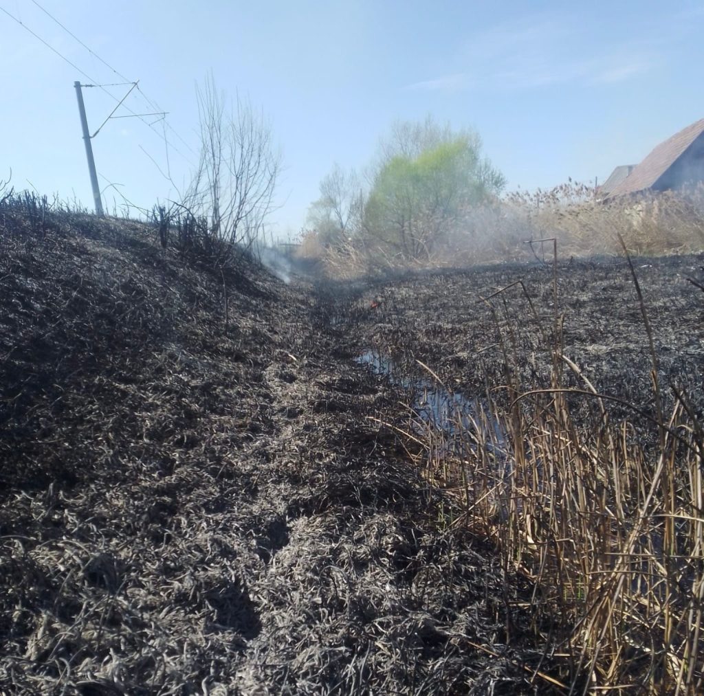 Pompierii mureșeni au intervenit la trei incendii de vegetație uscată