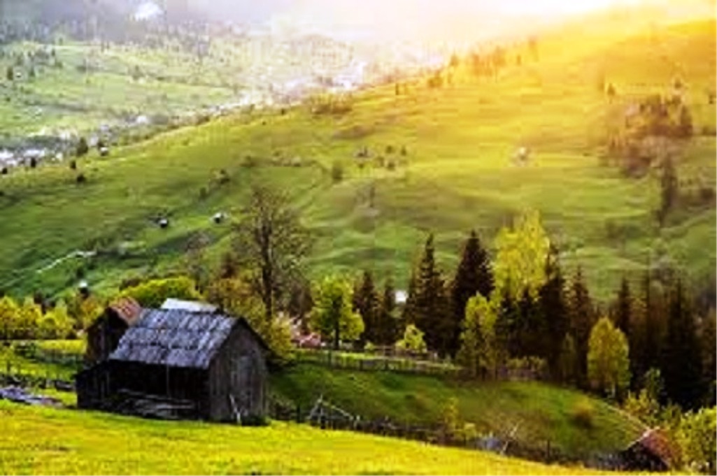 „Moara cu povești”. Despre „Țara Fagilor” și „ruleta austriacă”... 