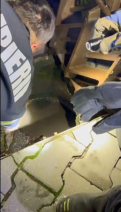 Pompierii din Vaslui au salvat șase rățuște căzute într-un canal 