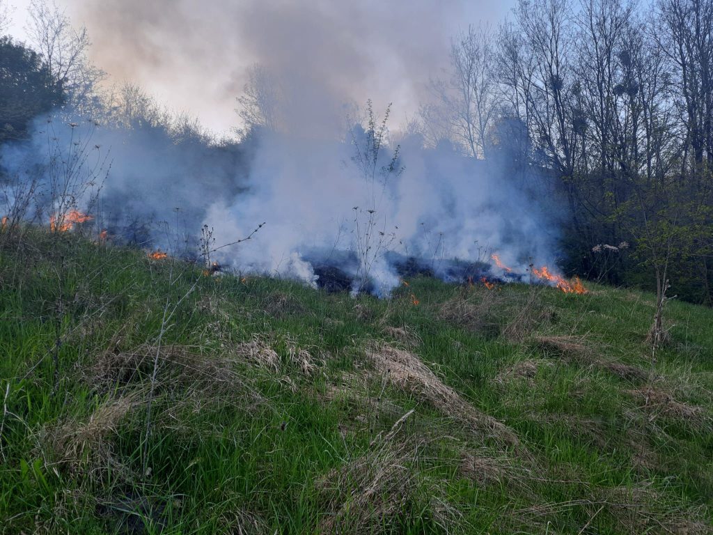 Pompierii intervin pentru stingerea unui incendiu de vegetație uscată în Criș 