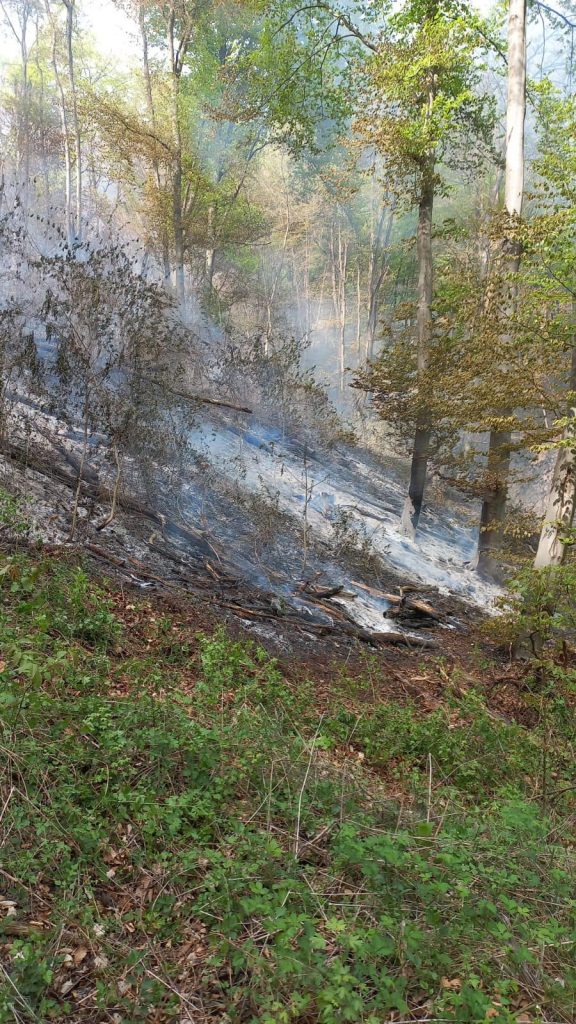 Pompierii din Sighișoara au intervenit pentru stingerea unui incendiu de litieră la Criș