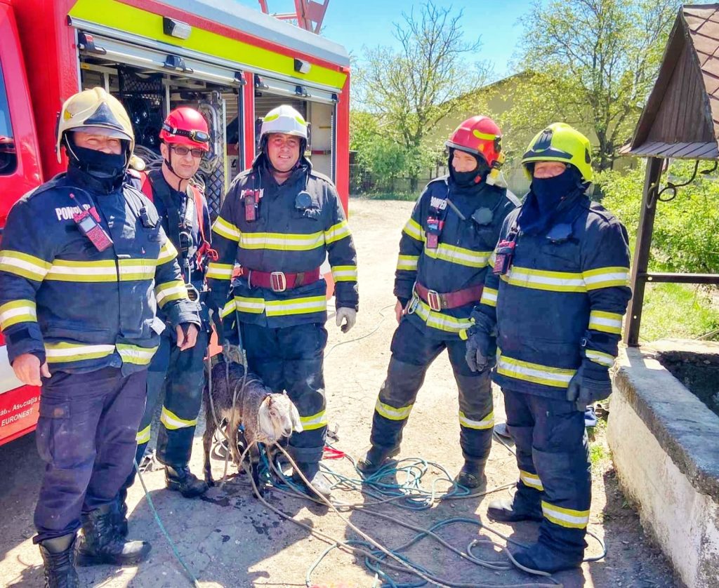 Ieduț salvat din fântână de pompierii de la Fălticeni 