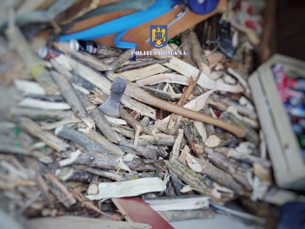 Percheziții pentru tăiere ilegală și furt de arbori în Glodeni