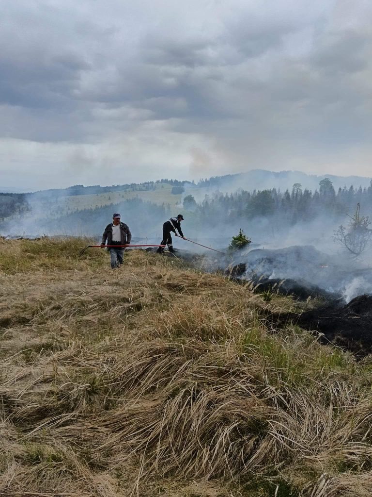 Incendiu de vegetație de amploare în Harghita: 20 de hectare afectate, pompierii au luptat cu flăcările mai bine de 12 ore