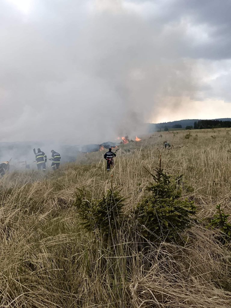 Incendiu de vegetație de amploare în Harghita: 20 de hectare afectate, pompierii au luptat cu flăcările mai bine de 12 ore