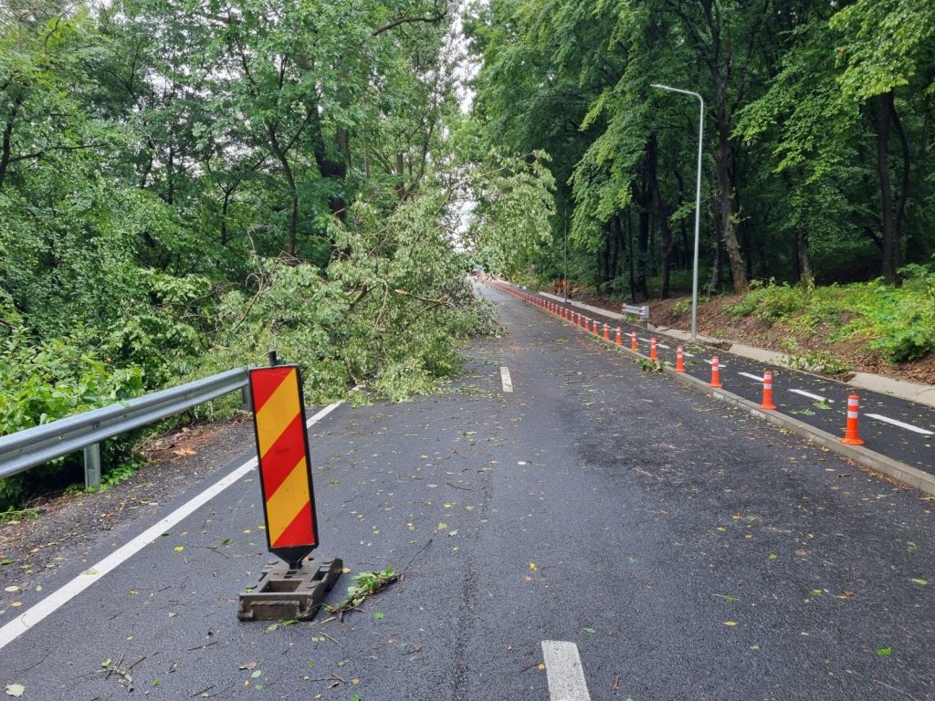 Valori istorice ale cantității de precipitații căzute într-o singură oră la Mediaș