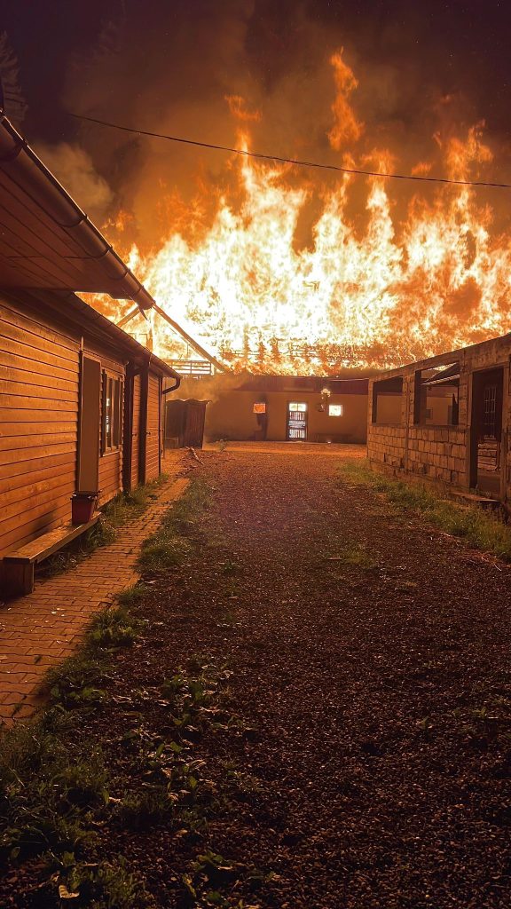 Incendiu la Ocolul Silvic Gura Humorului: Trei cai și cinci oi au murit