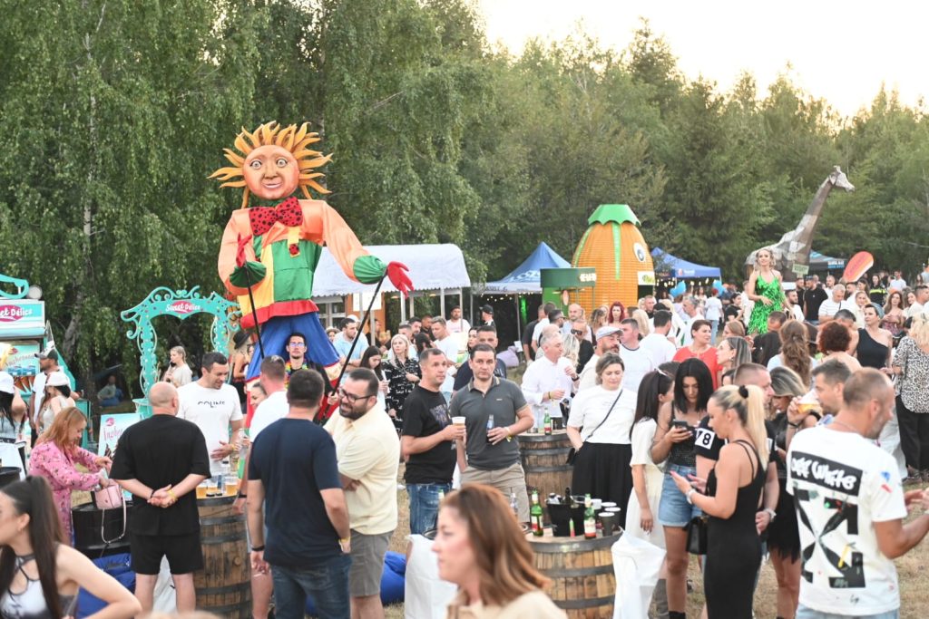 Festivalul Deep in the Forest 2024: Un succes pe toate fronturile!