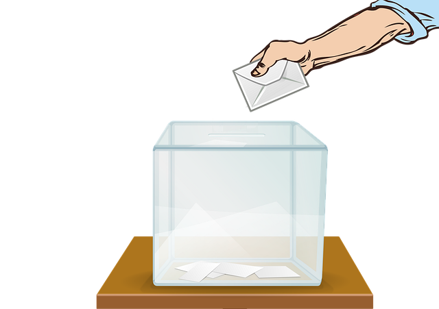 măsuri pentru organizarea alegerilor prezidențiale 