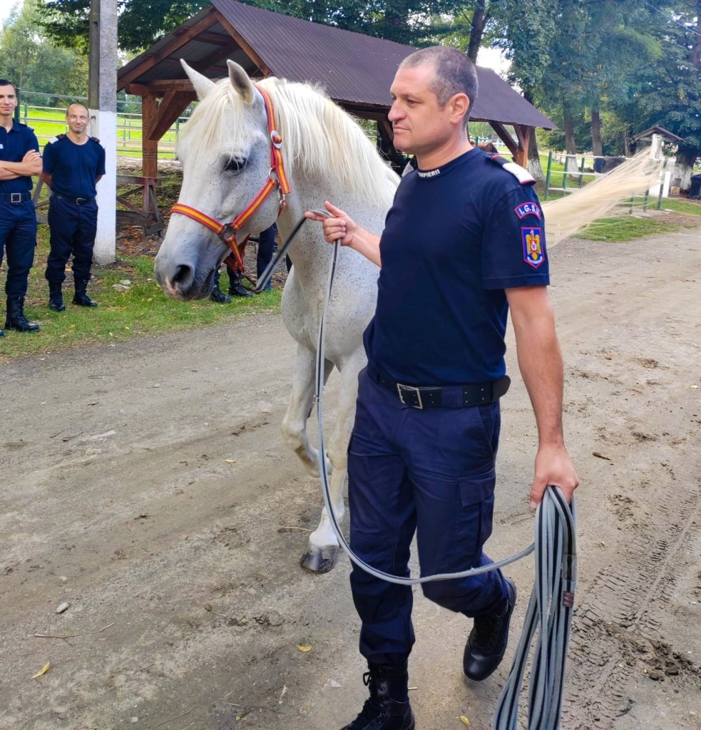 Un nou stagiu din cadrul modulului de salvare a animalelor din medii ostile s-a desfășurat la Poligonul Făgăraș