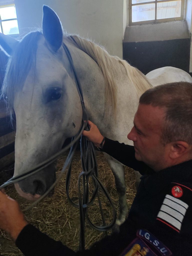 Un nou stagiu din cadrul modulului de salvare a animalelor din medii ostile s-a desfășurat la Poligonul Făgăraș