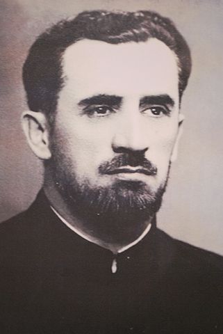 Ilarion Felea 