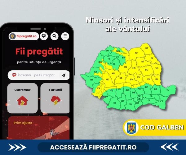 Inspectoratul pentru Situații de Urgență „Bucovina”