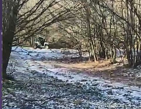 Jandarmii brașoveni protejează fondul cinegetic