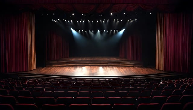 În cadrul unei conferințe de presă organizate de Teatrul Național „Radu Stanca”