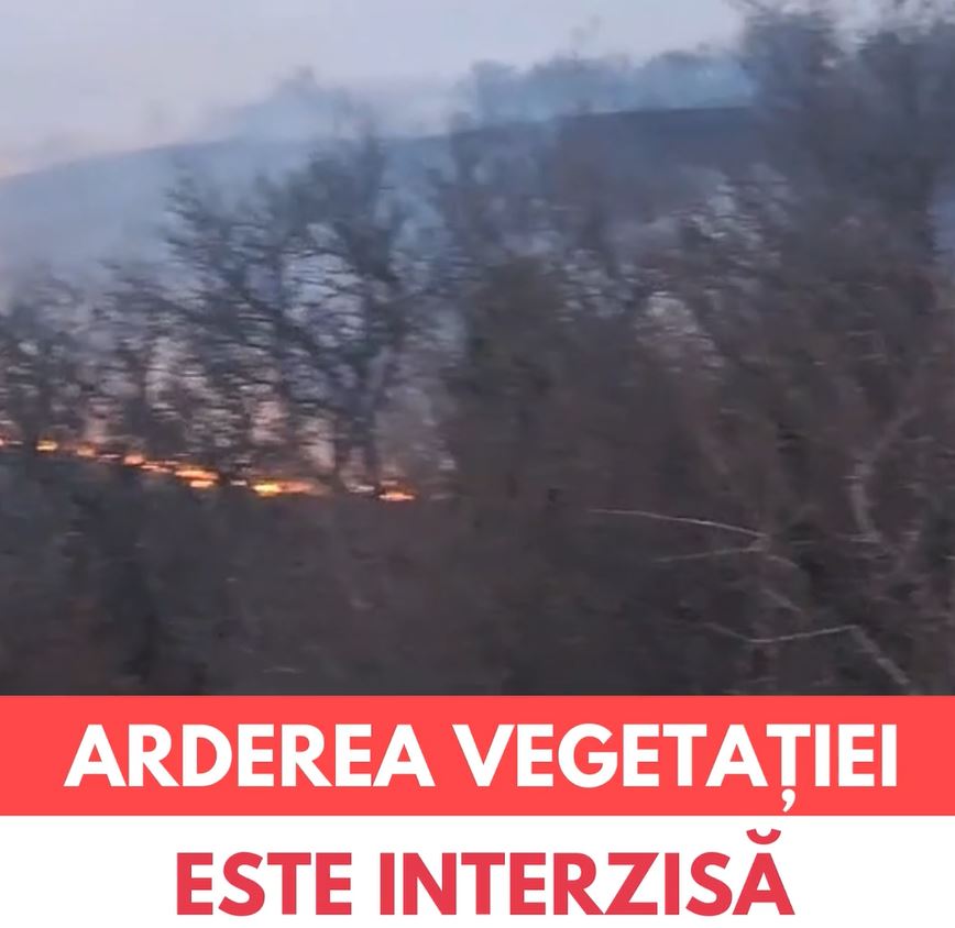 În data de 10 martie 2025, pompierii mureșeni au intervenit în 80 de situații 