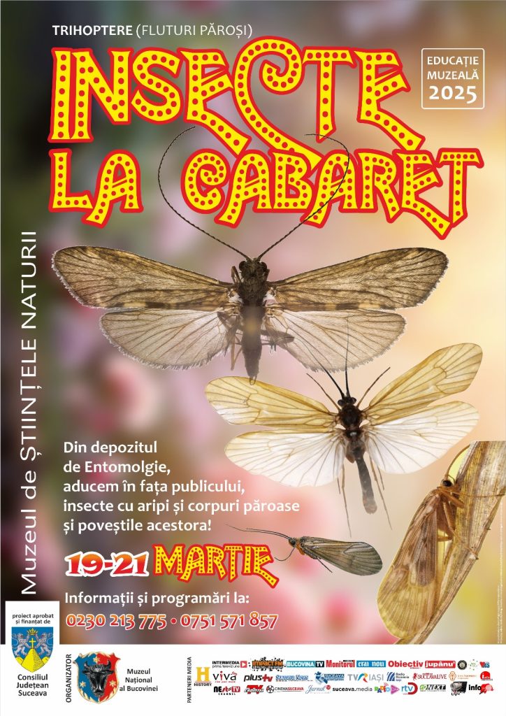 Insecte la cabaret