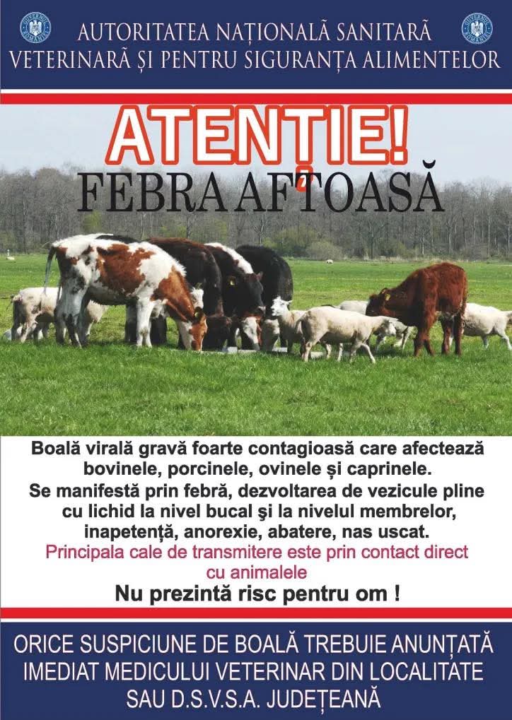 Pe 13 martie 2025, Centrul Local de Combatere a Bolilor (CLCB) Neamț