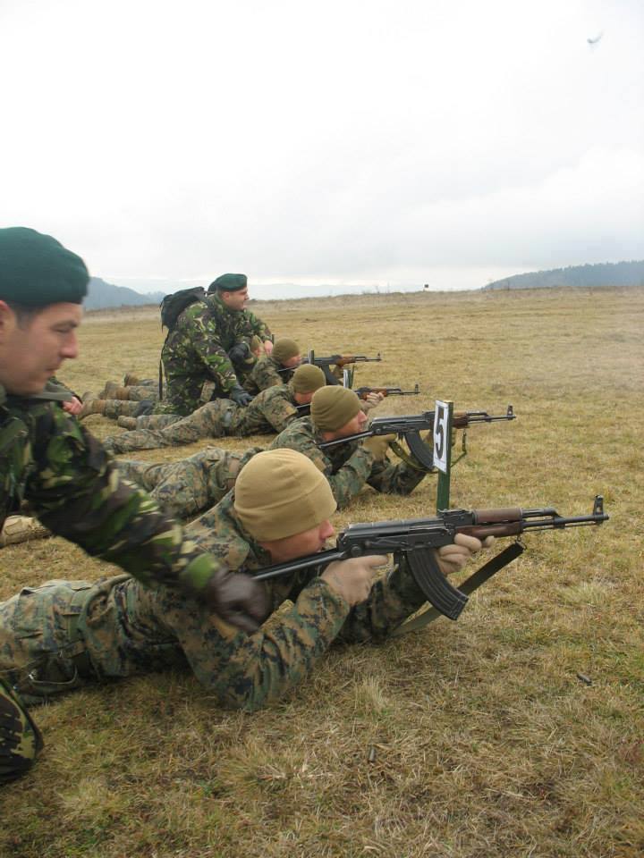 Săptămâna viitoare, militari din cadrul forțelor terestre române 