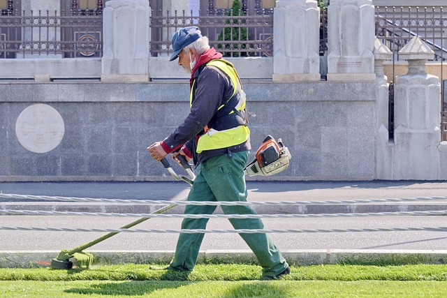 Știrile pozitive ale zilei, 12 mai 2025