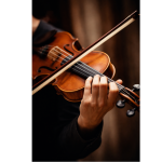 violon