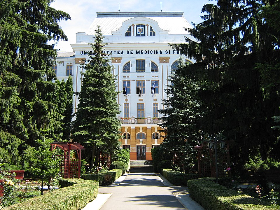Știrile pozitive ale zilei, 15 decembrie 2025