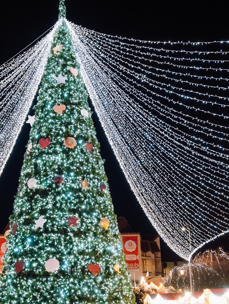 Știrile pozitive ale zilei, 15 decembrie 2025