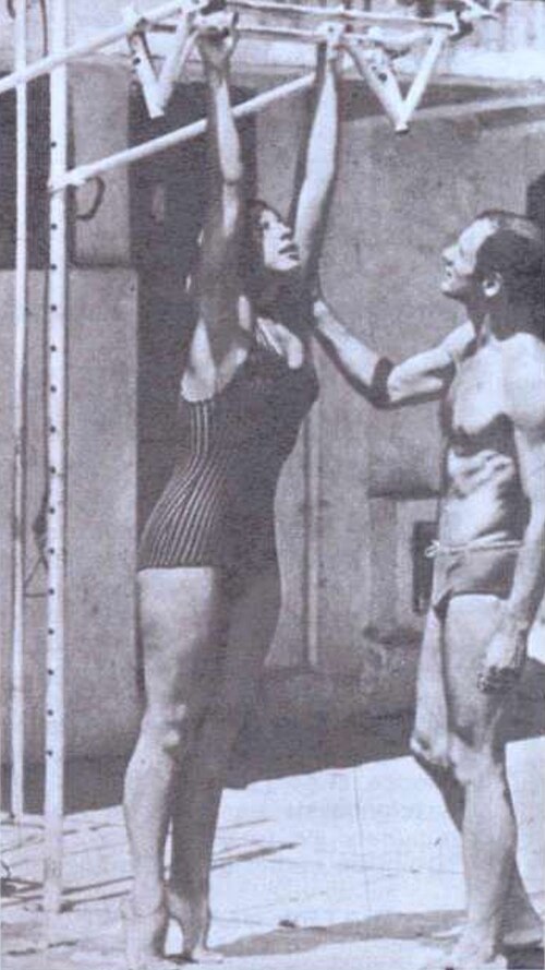 Alexander Schmaltzer
